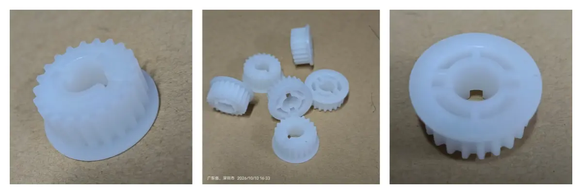 RBG100 White Gear 21T